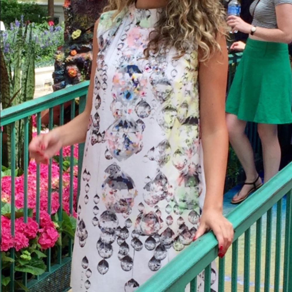 Ted Baker Natural Crystal Droplets Skater Dress